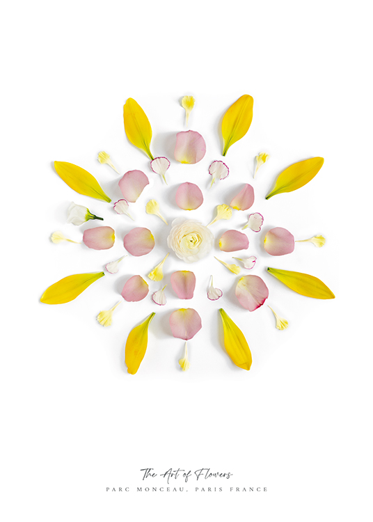  – Foto van bloemblaadjes in geel en roze op een witte achtergrond in een cirkel
