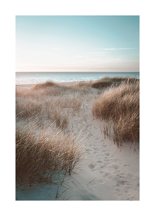  – Foto van zandduinen met gras en op de achtergrond de zee