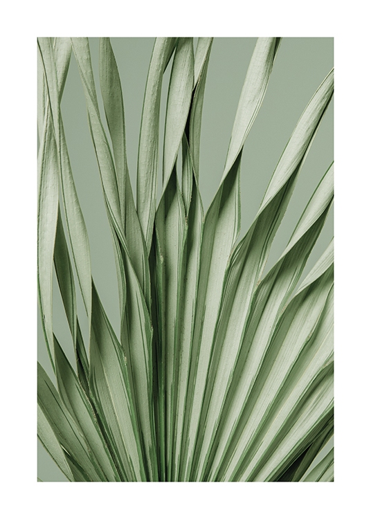  – Een close-upfoto van een gedraaid palmblad