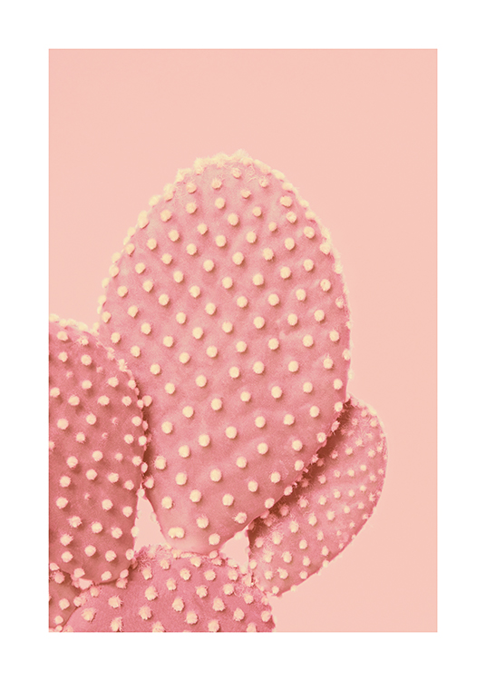  – Een foto van een roze gestippelde cactus op een roze achtergrond