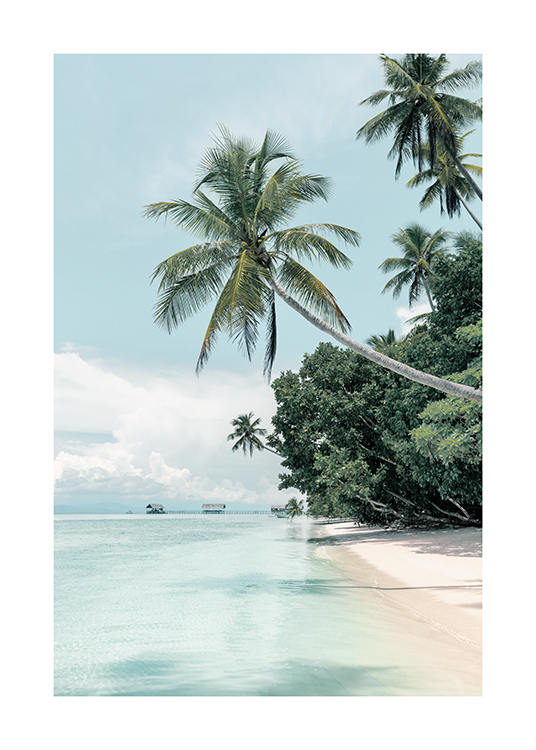  – Tropische foto van een strand met palmbomen, en een blauwe oceaan