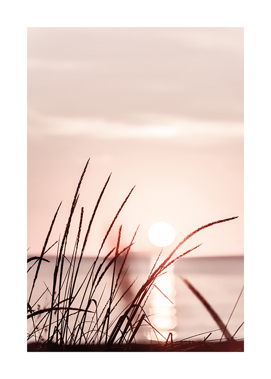  – Foto van gras voor een pastelroze hemel bij zonsondergang