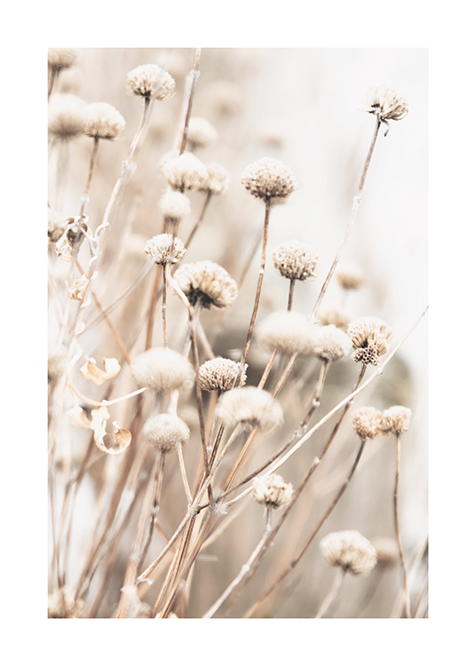  – Foto van een bos gedroogde kleine bloemen in beige met een wazige achtergrond