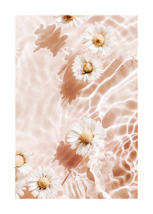  – Foto van enkele witte bloemen die op water drijven met een lichtroze achtergrond