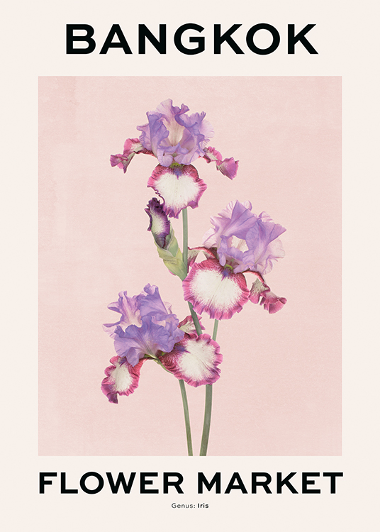  – Illustratie van irissen in paars en roze op een roze achtergrond met tekst erboven en eronder