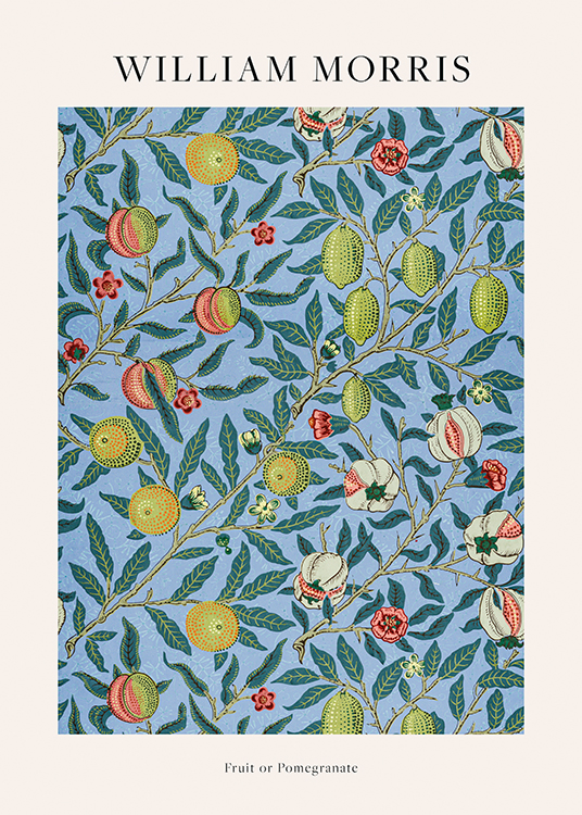  – Fruitpatroon met vijgen en granaatappel op een blauwe achtergrond