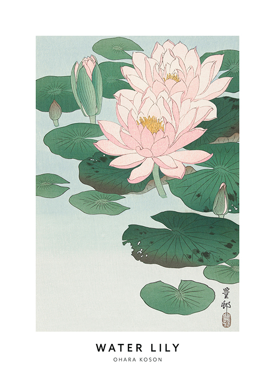  – Illustratie van roze waterlelies en groene bladeren met tekst aan de onderkant