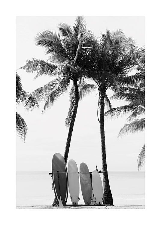  – Foto in zwart-wit van surfplanken die op een strand tegen palmbomen leunen