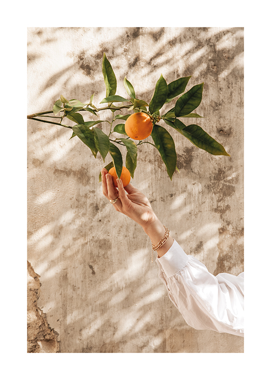  – Afbeelding van een meisje dat naar een sinaasappel aan een boom reikt