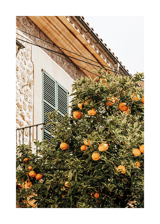  – Een afbeelding van een sinaasappelboom naast een schilderachtig Spaans huis