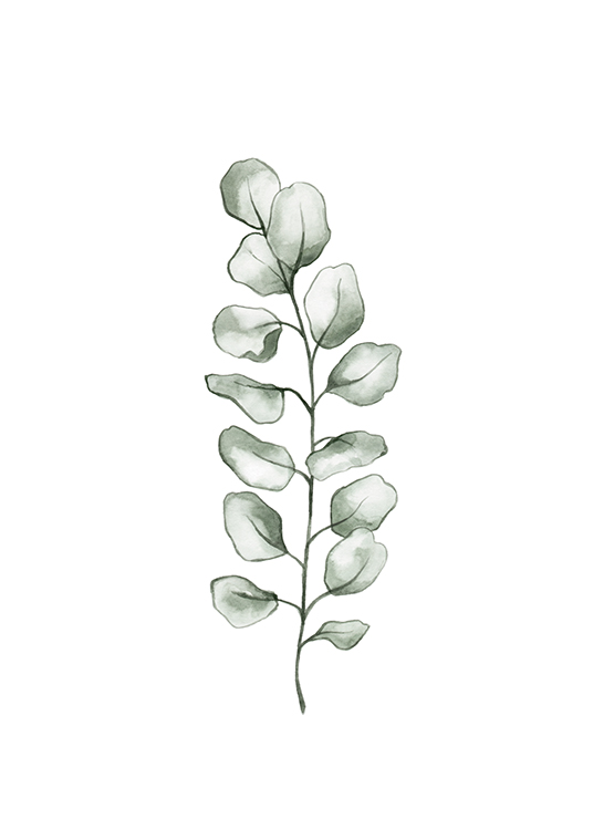 – Illustratie van een eucalyptusblad in groene aquarelverf op een witte achtergrond
