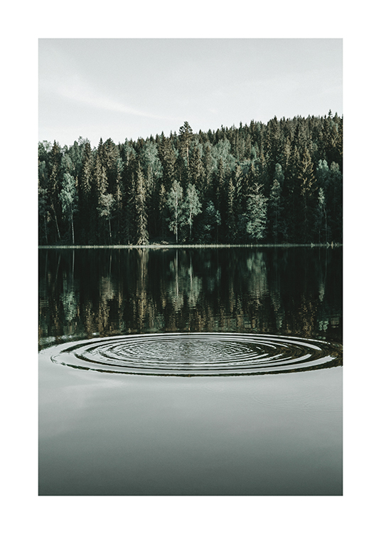  – Foto van een meer met ringen op het water en een bos achter het meer