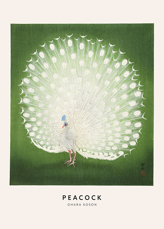  – Illustratie van een pauw met witte veren tegen een groene achtergrond met textuur