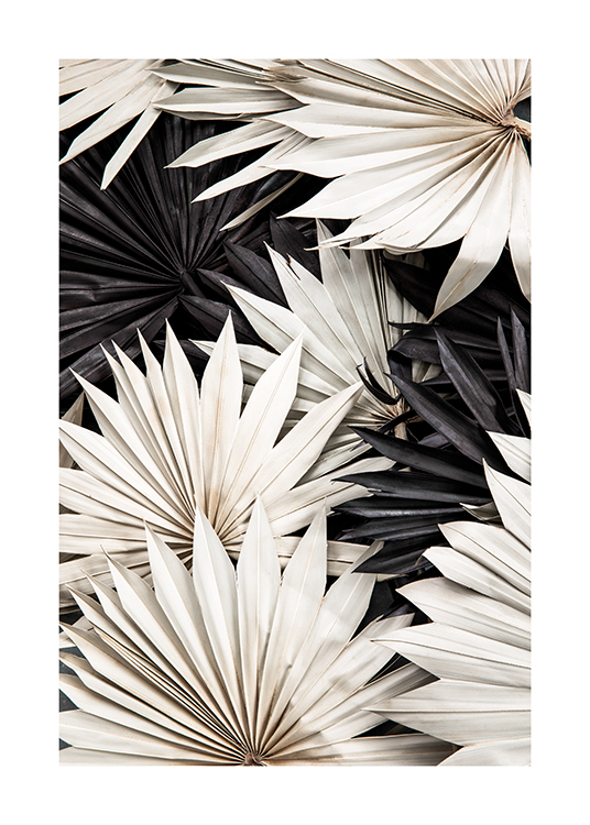  – Foto van zwart-wit geplooide palmbladeren die op elkaar liggen