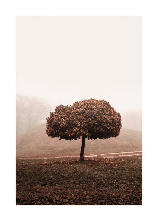  – Foto van een mistig veld met een boom in het midden met een grote kroon