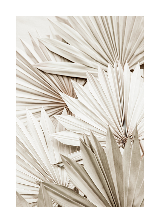  – Foto van geplooide palmbladeren in wit en grijs die boven op elkaar liggen