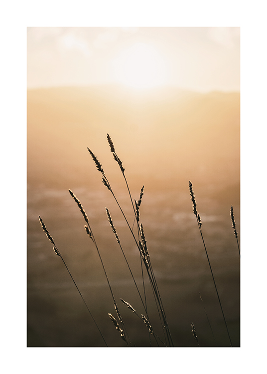  – Foto van een zonsondergang met gras op de voorgrond tegen een wazige achtergrond