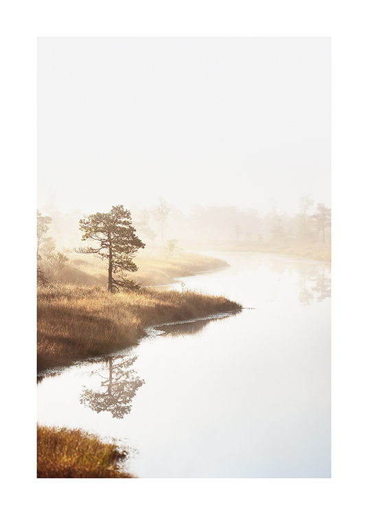  – Foto van bomen en gras naast water, met mist over het landschap
