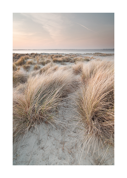  – Foto van zandduinen met gras erop en een pastelkleurige lucht en zee op de achtergrond