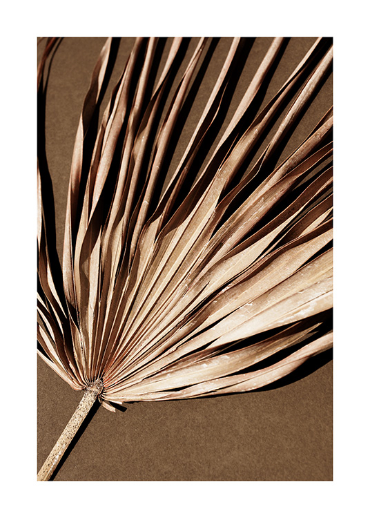  – Foto van een gedroogd, beige palmblad met plooi-effect, op een bruine achtergrond