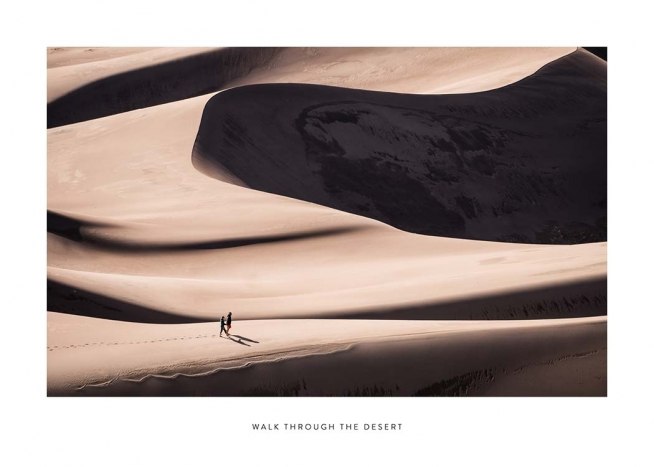Walk Through The Desert Poster / Natuurmotieven bij Desenio AB (2024)