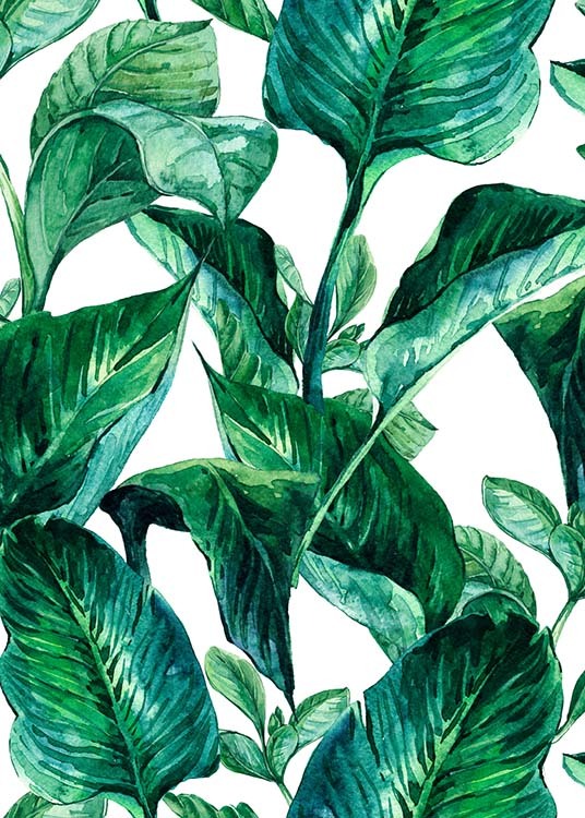 Green Leaves Pattern Poster / Kunst bij Desenio AB (2288)