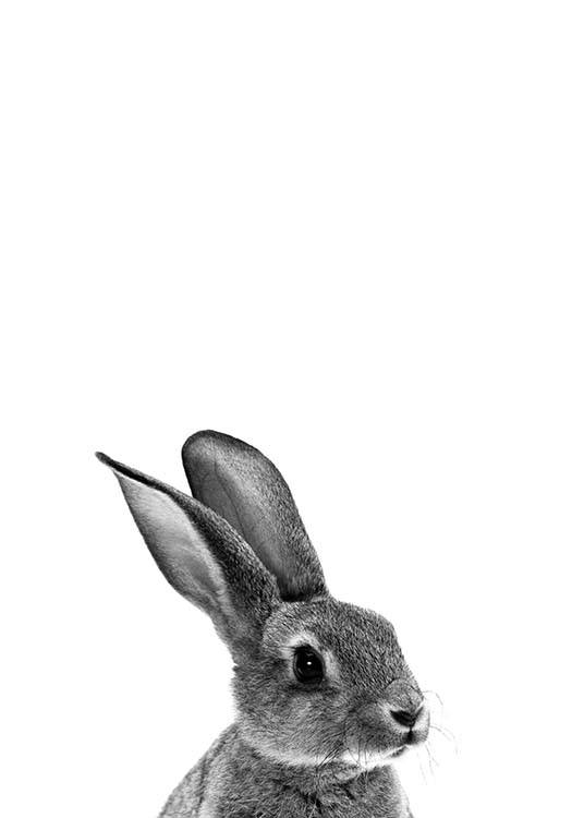 Grey Bunny Poster / Kinderposters bij Desenio AB (2302)