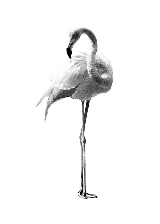 Flamingo Black And White Poster / Zwart wit bij Desenio AB (2395)