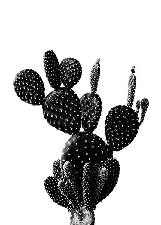 Black Cactus One Poster / Zwart wit bij Desenio AB (2429)
