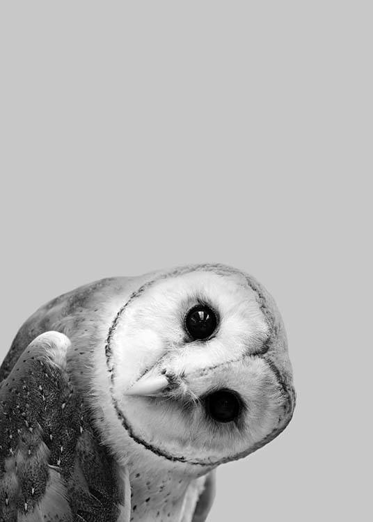 Owl Peekaboo Poster / Kinderposters bij Desenio AB (2573)