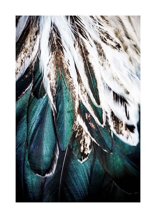 Green Feathers Poster / Fotokunst bij Desenio AB (2732)