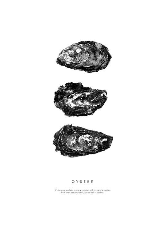 Oyster Three Poster / Zwart wit bij Desenio AB (3165)