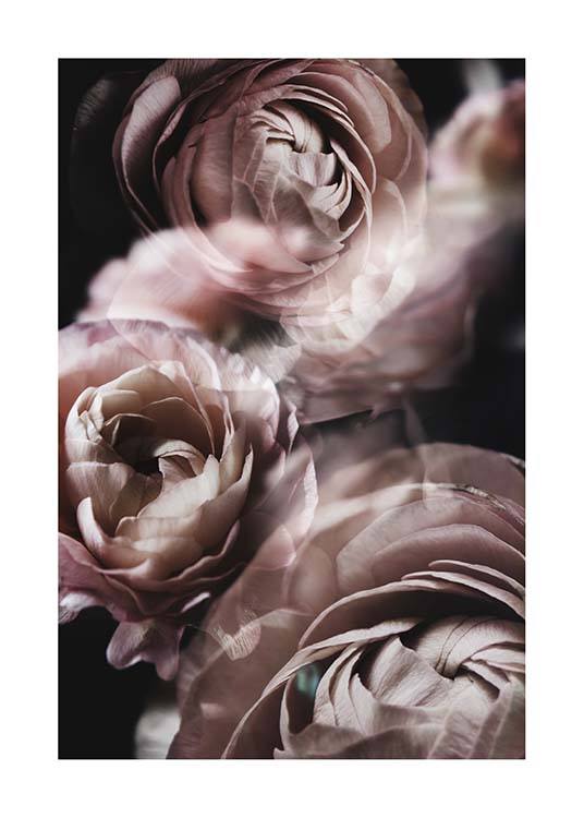 Fairy Tale Flower No2 Poster / Fotokunst bij Desenio AB (3920)
