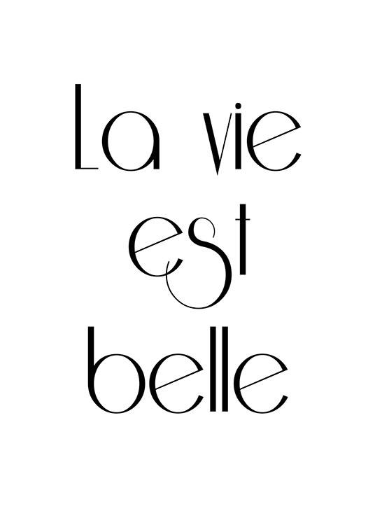 La Vie Est Belle, Affisch / Zwart wit bij Desenio AB (7384)