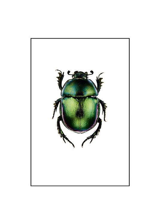 Beetle, Small / Vintage bij Desenio AB (7430)