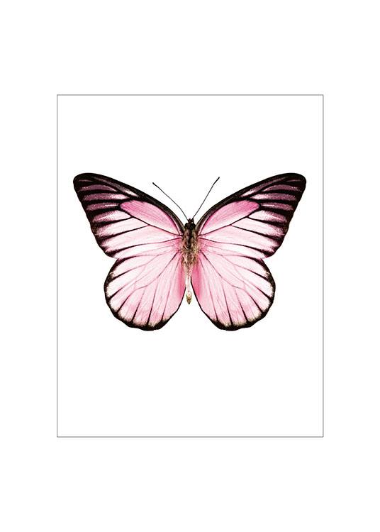 twijfel Tegenslag smal Poster / print met roze vlinder | Posters en prints met insecten -  desenio.nl