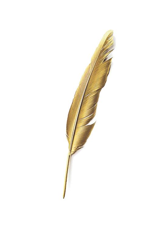 Gold Feather, Poster / Posters met tekst bij Desenio AB (7605)