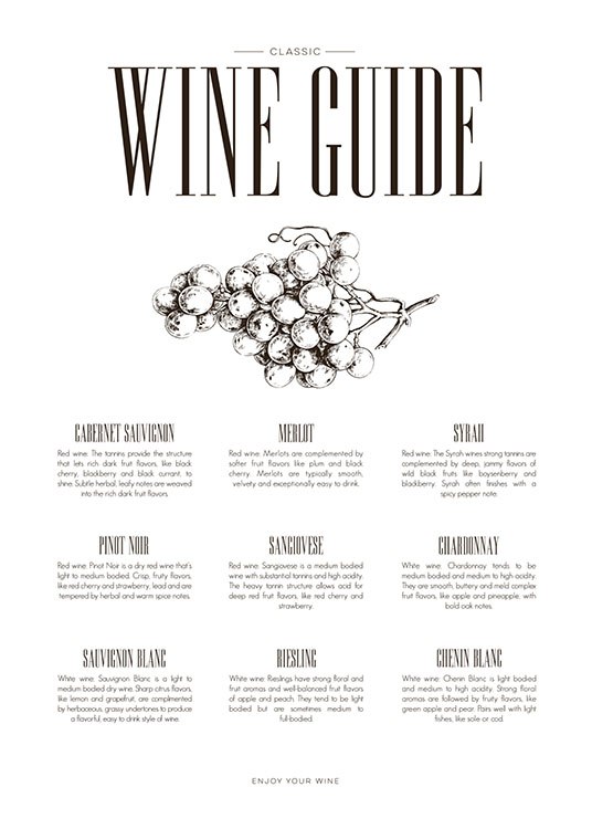 Wine Guide, Poster / Keuken posters bij Desenio AB (8228)