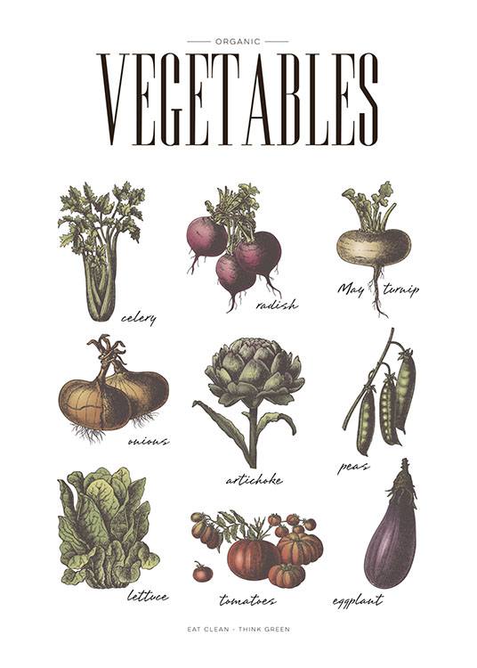 Vegetables, Posters / Keuken posters bij Desenio AB (8229)