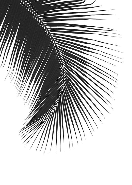 Black Palm Leaf, Posters / Zwart wit bij Desenio AB (8242)