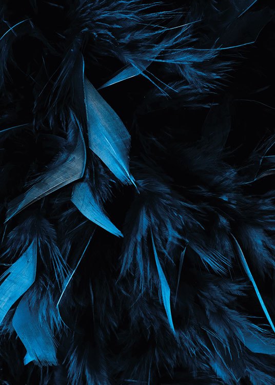 Blue Feathers, Posters / Fotokunst bij Desenio AB (8483)