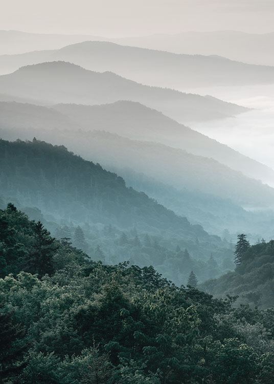  – Foto van landschap met bos en bergen en mist op de achtergrond
