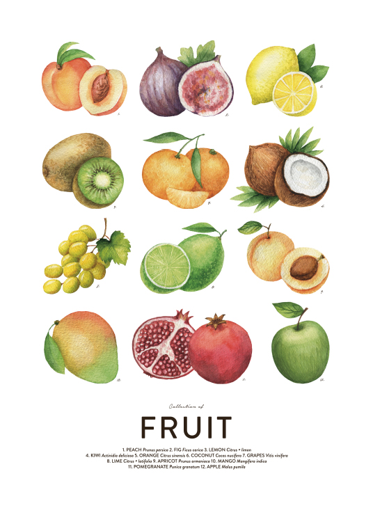 Fruit, Posters / Keuken posters bij Desenio AB (8590)