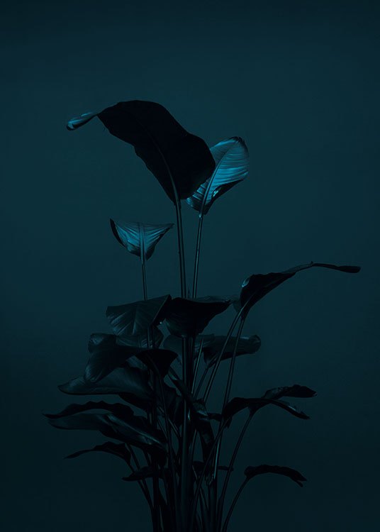 Black Plant, Poster / Fotokunst bij Desenio AB (8619)