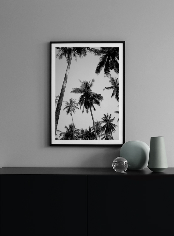 Zwart-wit poster met palmen, bij