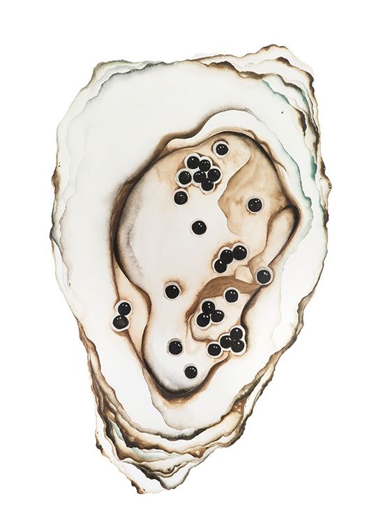  – Aquarel van een oester in beige met een bruine kern en zwarte parels