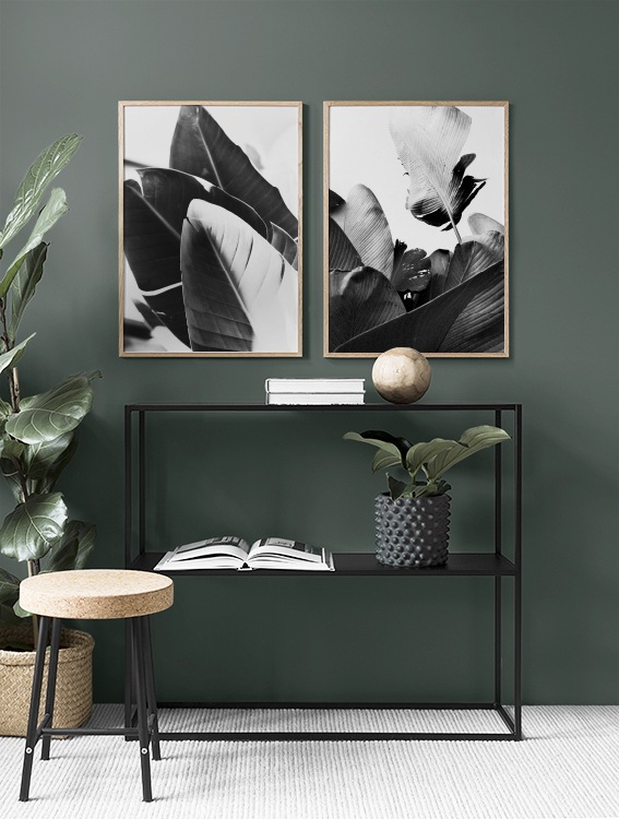 Botanische posters banaanblad in zwart-wit