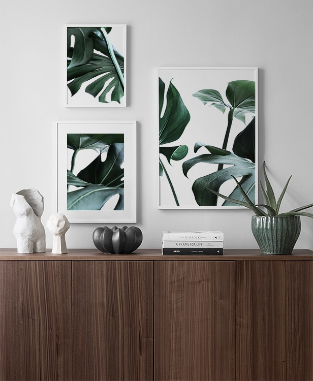 Inspiratie voor botanisch interieur met monsterablad