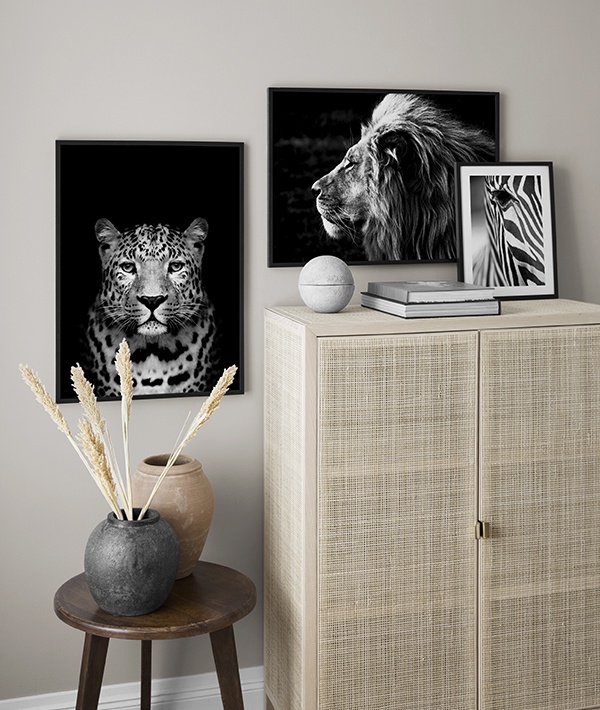 Zwart-wit dierenposters, inspiratie safariposters