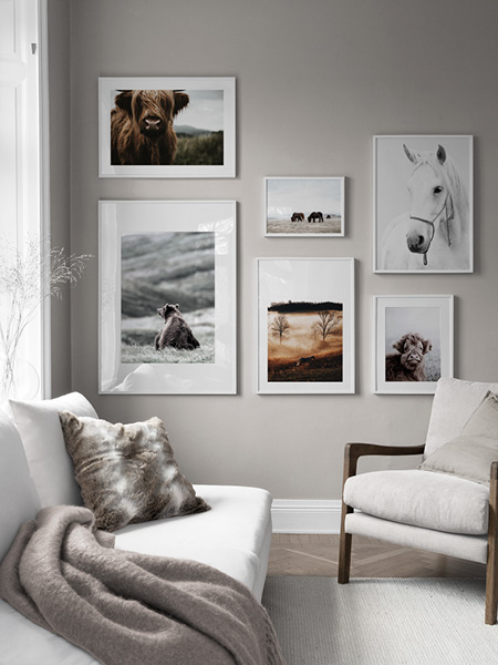 Posters van Desenio, met insecten en dieren